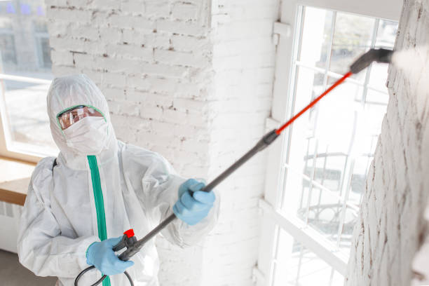 Best Asbestos and Lead Testing During Mold Inspection  in Pahokee, FL