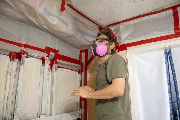 Best Emergency Mold Remediation  in Pahokee, FL