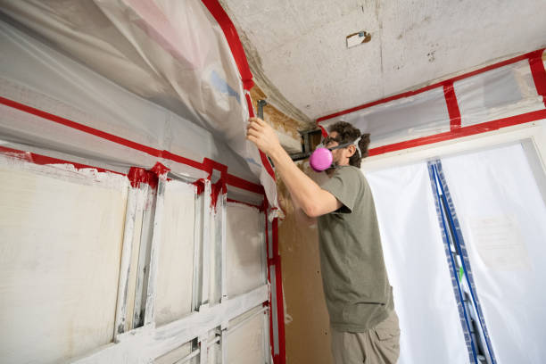 Best Post-Construction Mold Inspection  in Pahokee, FL