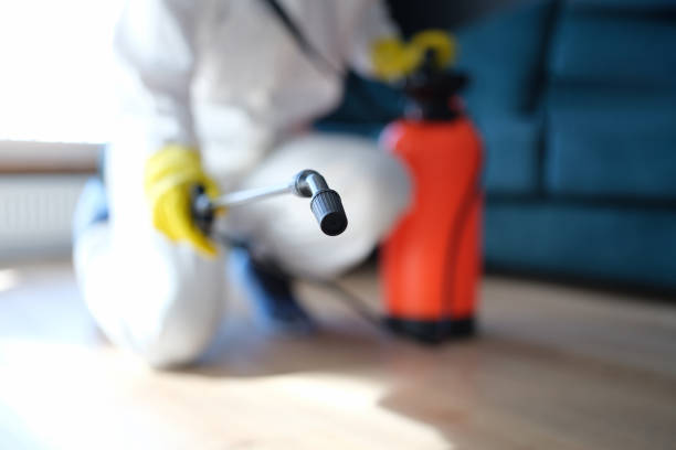 Professional Mold Removal in Pahokee, FL
