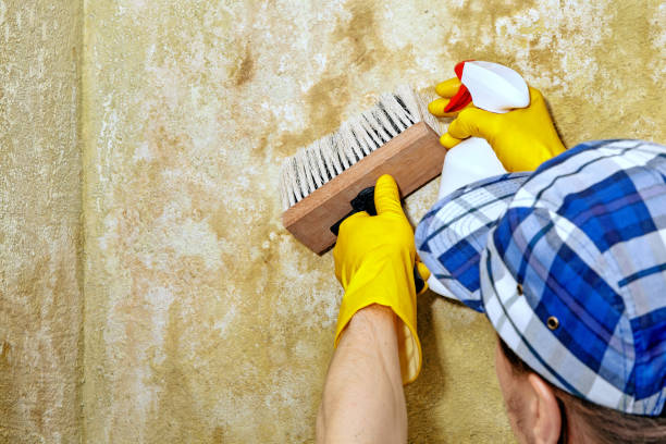 Asbestos and Lead Testing During Mold Inspection in Pahokee, FL