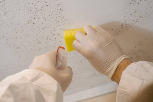 Best HVAC Mold Inspection and Cleaning  in Pahokee, FL